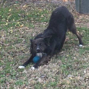 Meet your Posher, Liz